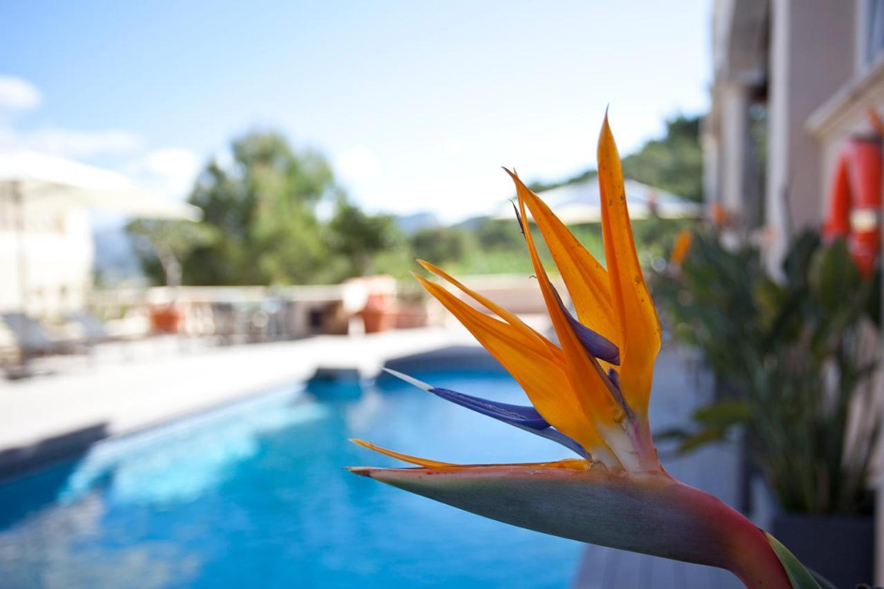 Hotel Villa Italia Puerto de Andratx Ngoại thất bức ảnh